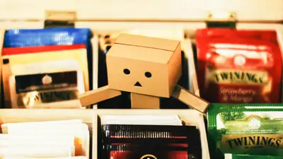 Danbo in a Box of Tea Bags by Jem Sahagun